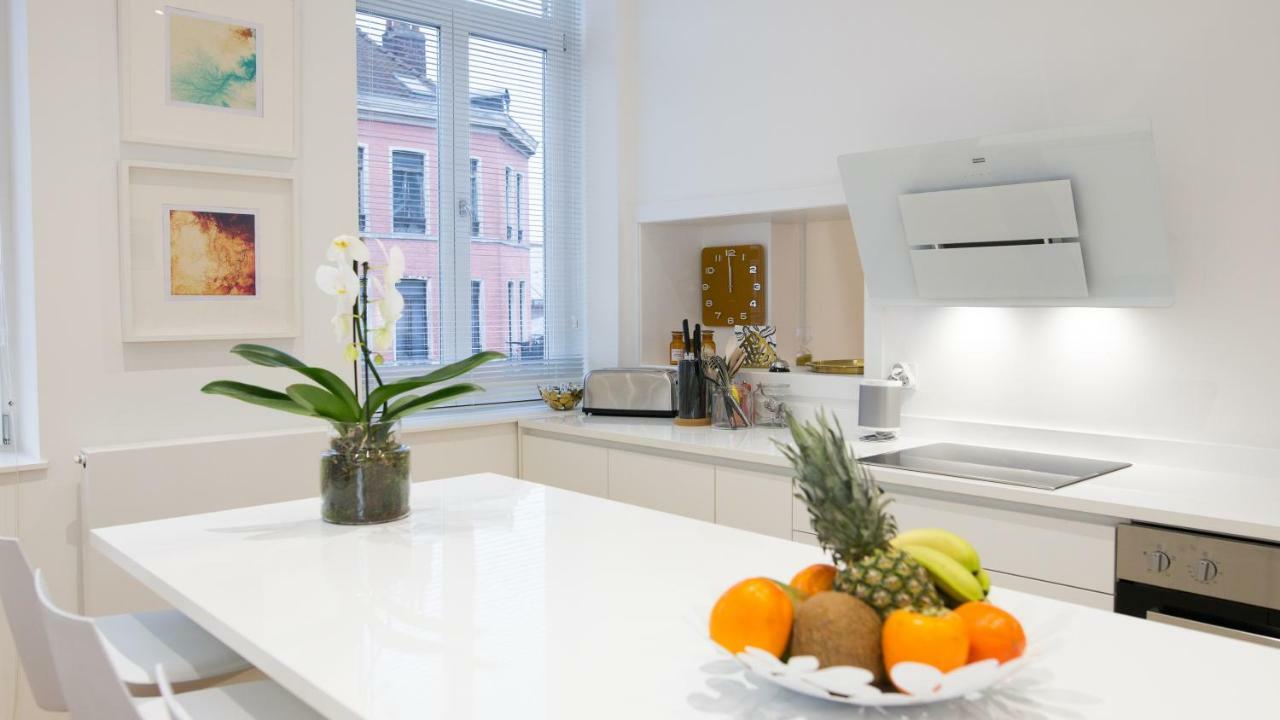 Luxueux Logement Bourgeois De 250 M2 Climatise Лилль Экстерьер фото