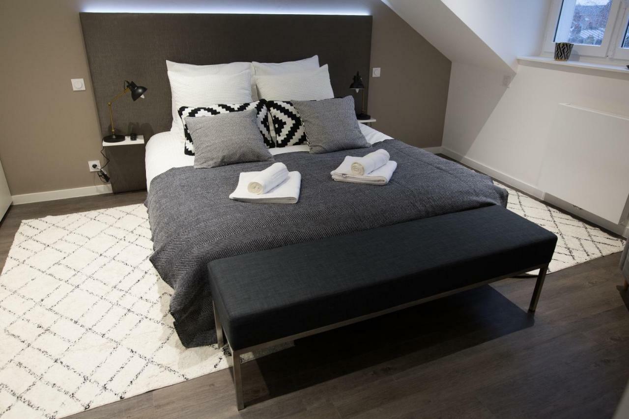 Luxueux Logement Bourgeois De 250 M2 Climatise Лилль Экстерьер фото